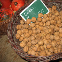 Simssee-Markt, Bauernmarkt, Rosenheim, Regionalvermarktung von Biogemüse Baierbach am Simssee Stephanskirchen